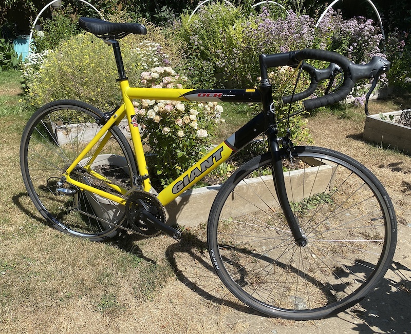 2002 Giant OCR Three Size Large 56cm (Project Bike) For Sale
