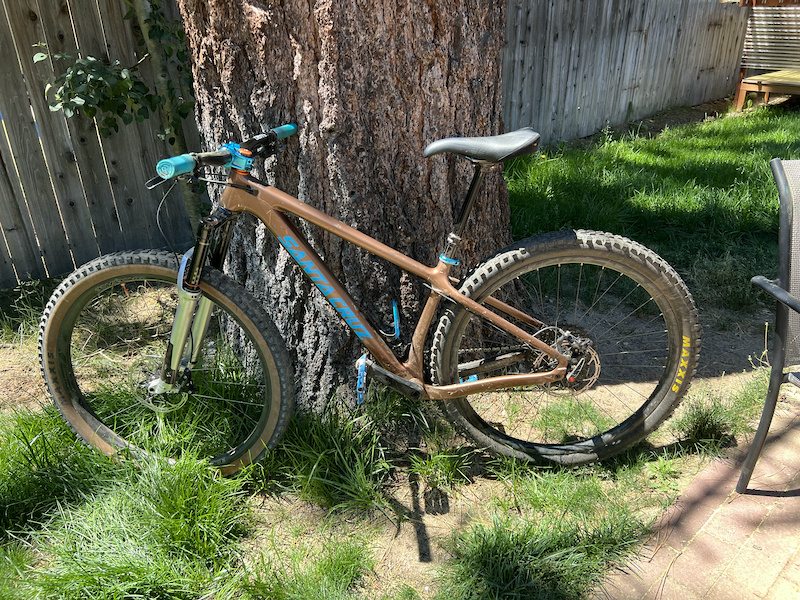 2019 Santa Cruz Chameleon For Sale