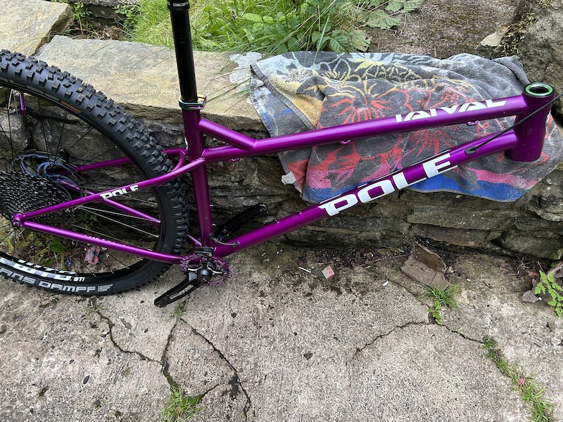 Pole hardtail online frame