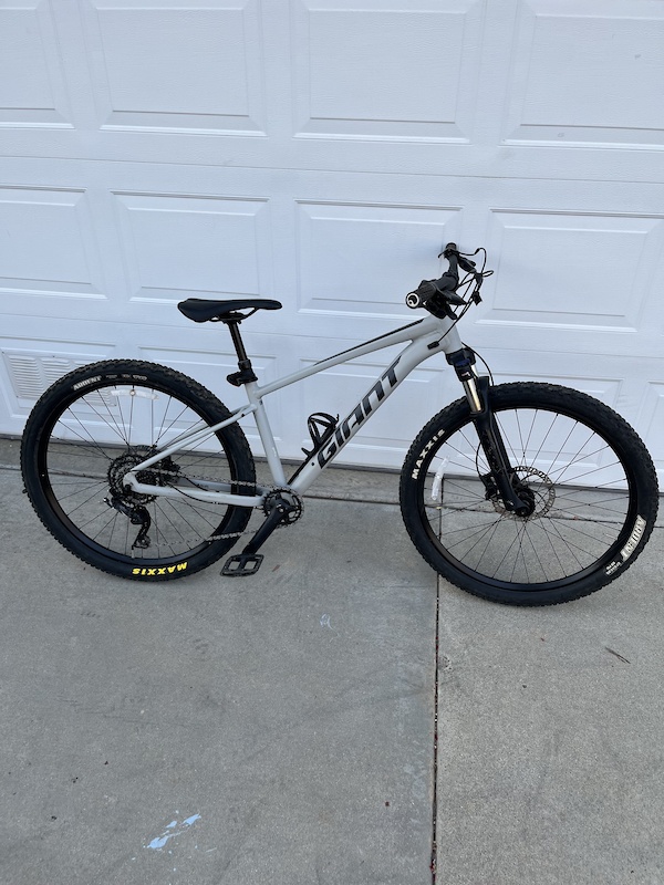 Desert Sage 2021 Talon Giant Desert Sage Giant Fathom 2021 Talon