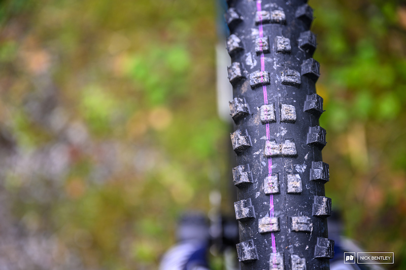 Schwalbe downhill tires hotsell