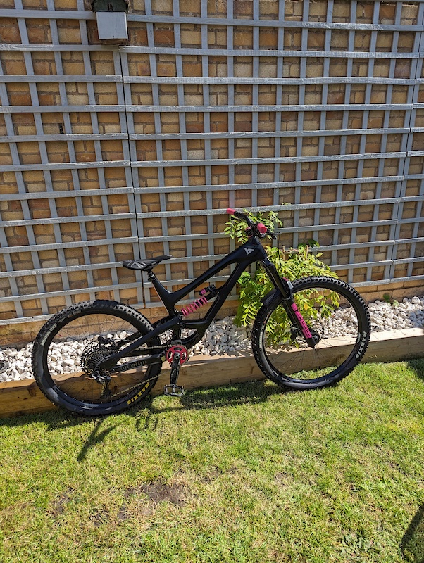 Yt capra mullet cheap
