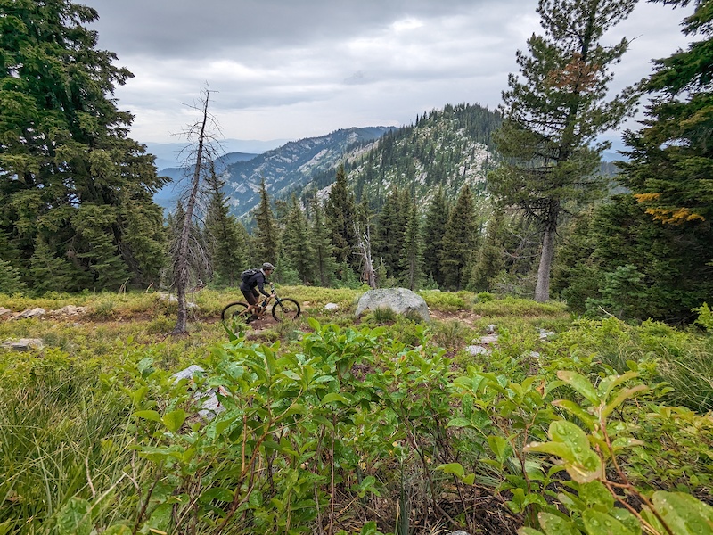 Pot Mountain Trail Multi Trail Pierce, Idaho