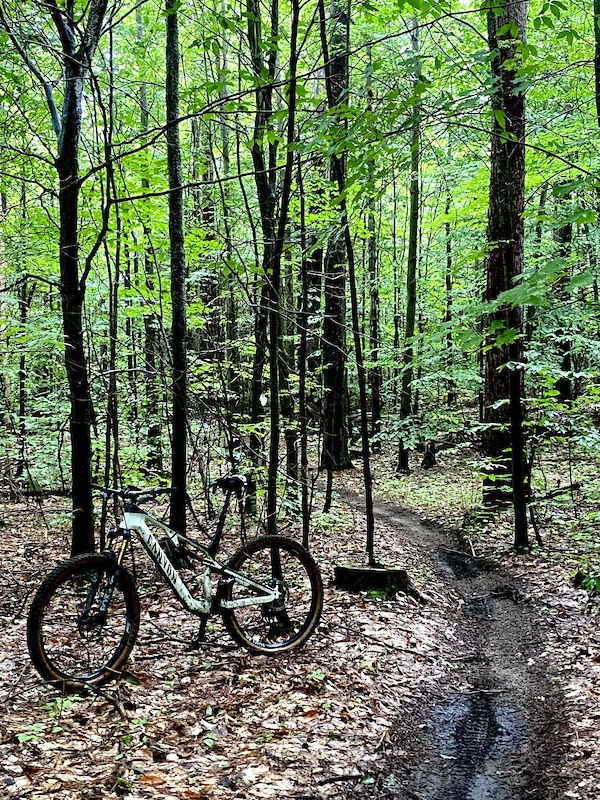 Simcoe County Forest - Wildman Main Tract, Tiny Mountain Biking Trails ...