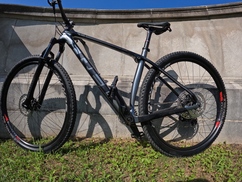 Trek procaliber best sale 9.5 2019