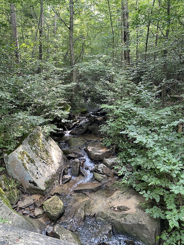 Beige Trail Multi Trail - Mchenry, Maryland 