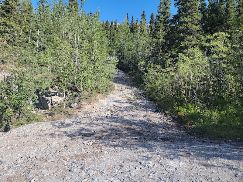 Grey Mountain Cave Trail Hiking Trail - Whitehorse, YT