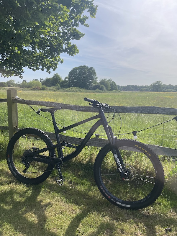 2019 Focus Vice L For Sale