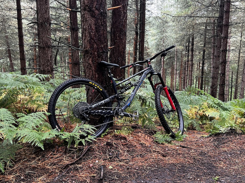 Sentry Enduro Mountain Bike Calibre Bikes Sentry Calibre Bossnut