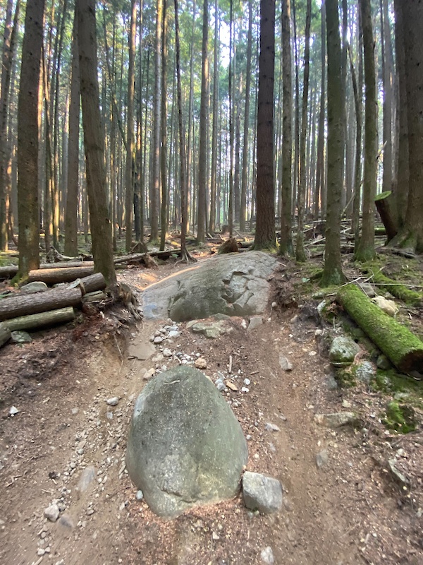 Sector 7G Dirtbiking Trail - Maple Ridge, BC