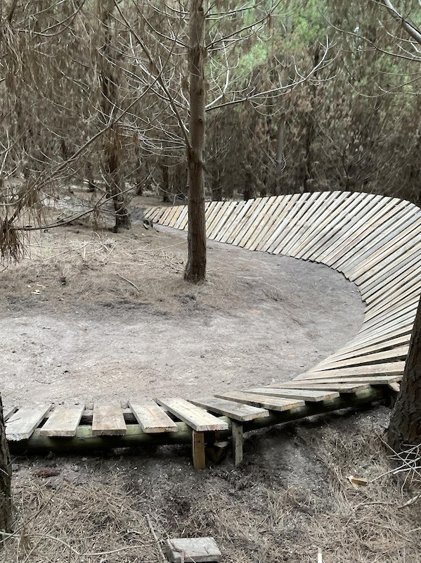 Traralgon Pines Course 2 Mountain Biking Route | Trailforks