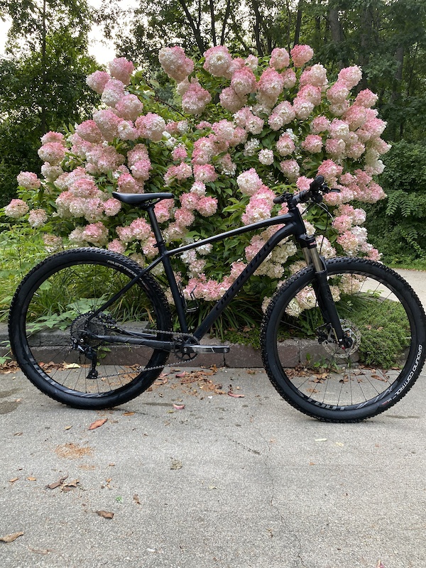 Specialized rockhopper cheap expert 2019