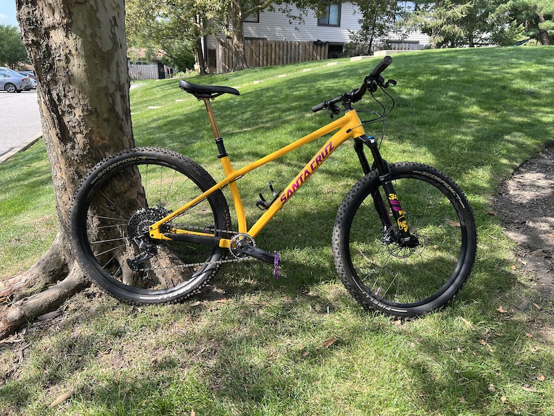 Santa cruz cheap chameleon s