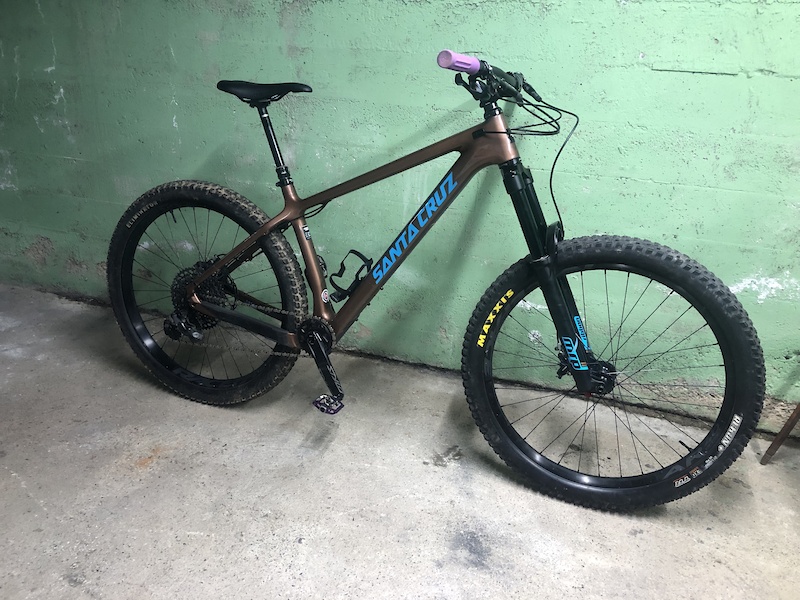 2005 santa cruz chameleon