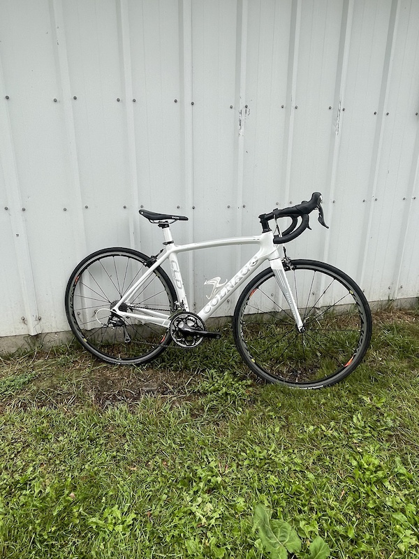 2015 Colnago CLD Team Edition For Sale