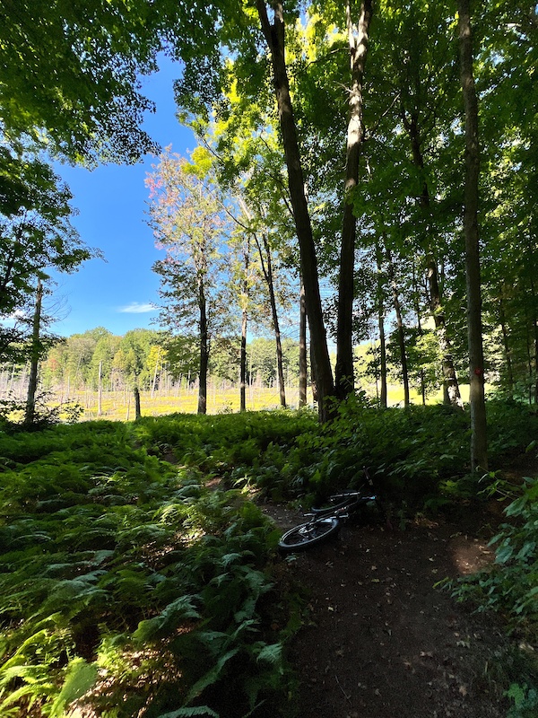 Pond Trail Multi Trail Gowanda, New York