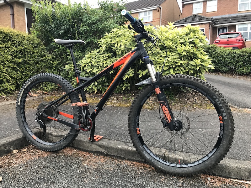 Saracen zen cheap