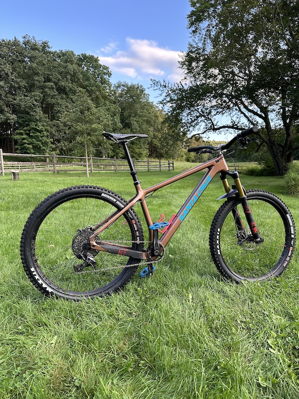 Santa cruz chameleon online for sale