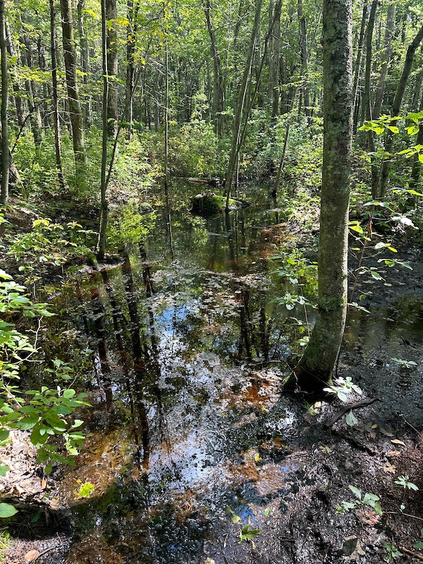 Chattering Rocks Chattering Rock Multi Trail - Milford, Massachusetts