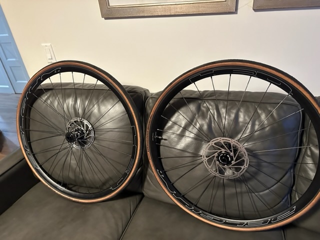 Belgium R Rim 2023 HED Belgium R Disc For Sale