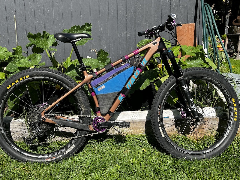 Pinkbike santa 2024 cruz chameleon