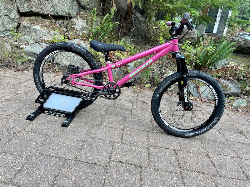 2018 Lil Shredder Icon 20" DJ For Sale