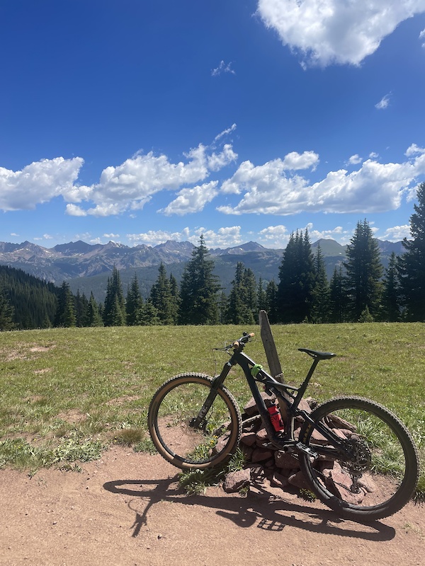 2019 specialized enduro elite 29