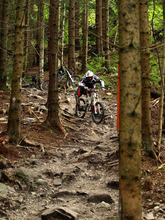 dh track semmering 2008