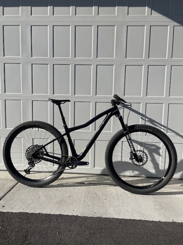 2023 Ibis DV9 Custom X01 Build For Sale