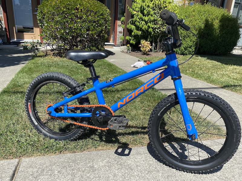 Norco 2025 coaster 16