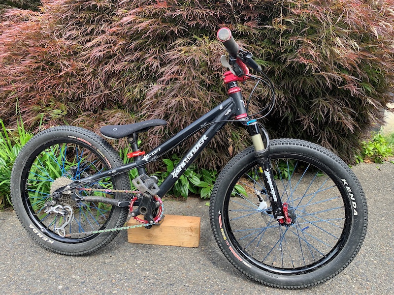 Lil shredder bikes for hot sale sale