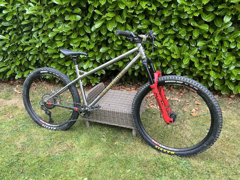 Mullet hardtail outlet