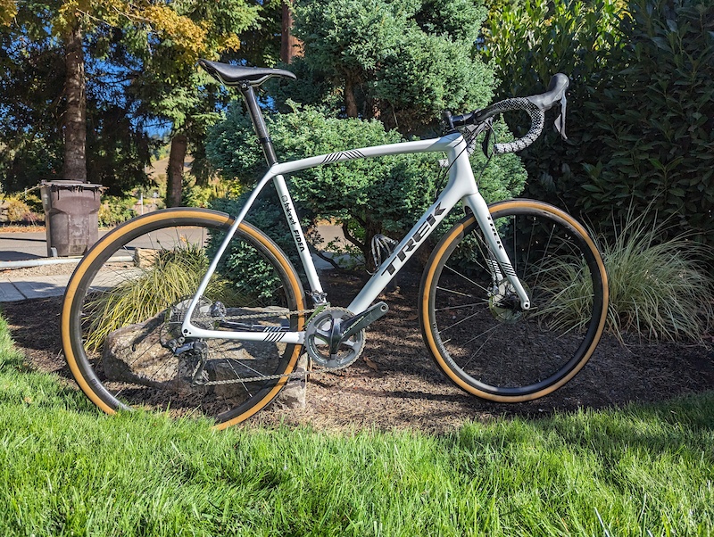 Trek discount boone 2019