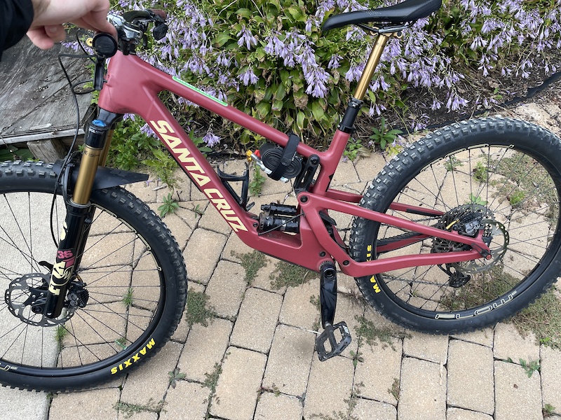 santa cruz 5010 mullet