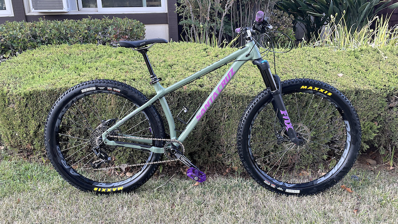 Santa cruz chameleon online green