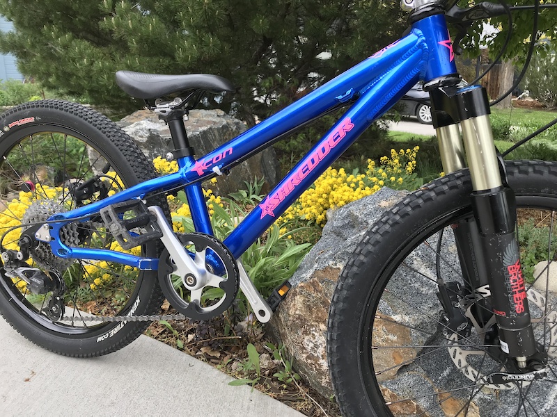 Lil shredder discount bikes for sale