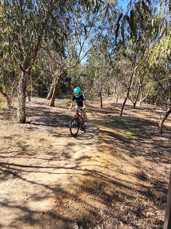 The Hill Lower Loop Mountain Biking Trail Geelong