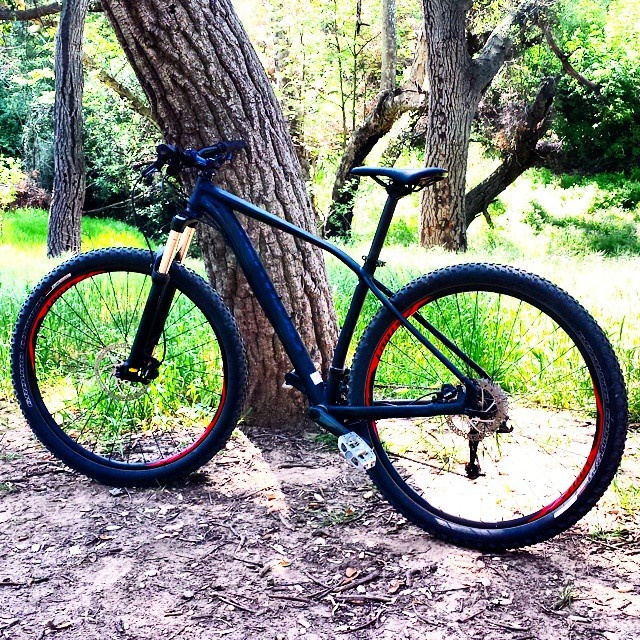 Specialized rockhopper expert evo 2024 650b