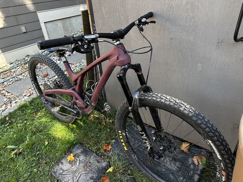 evil offering frank the tank