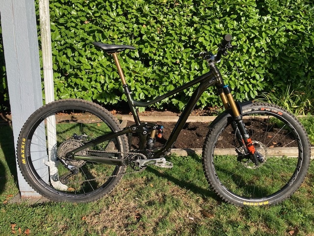 Custom Giant Trance X 29 For Sale