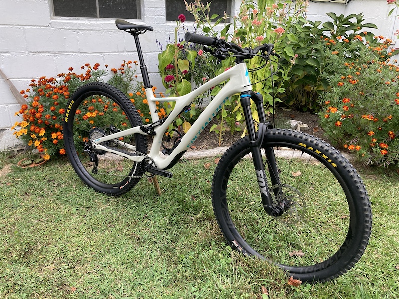 2019 stumpjumper for online sale