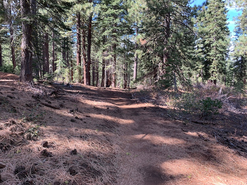 Sawyer Trail Multi Trail Truckee, California