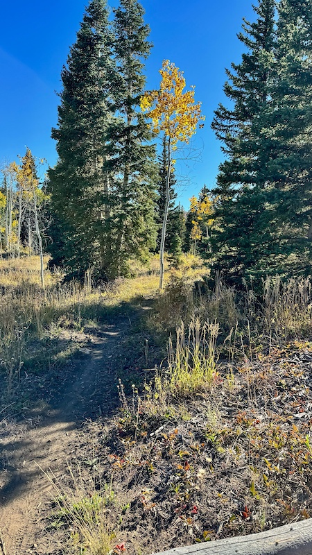 Templar Trail Mountain Biking Trail - Ephraim, UT