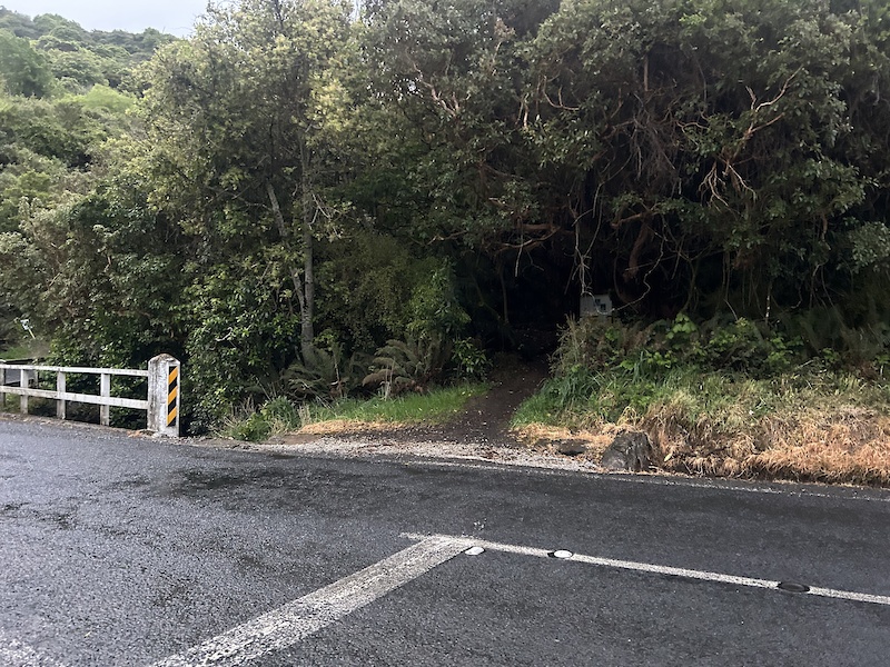 Oct 27, 2023 Nicols Creek - Switchback Track Trail Report | Trailforks