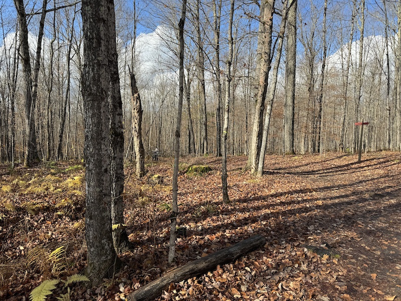 Darling Loop Mountain Biking Route | Trailforks