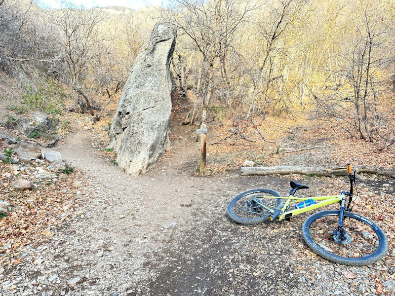 Rattlesnake Gulch, Lower Multi Trail Millcreek, Utah