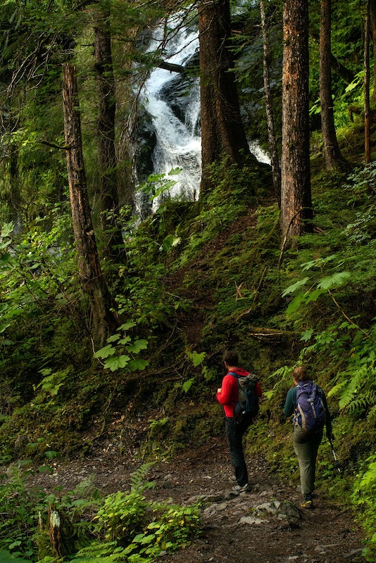 Herring Cove Beaver Lake Trail Multi Trail Sitka