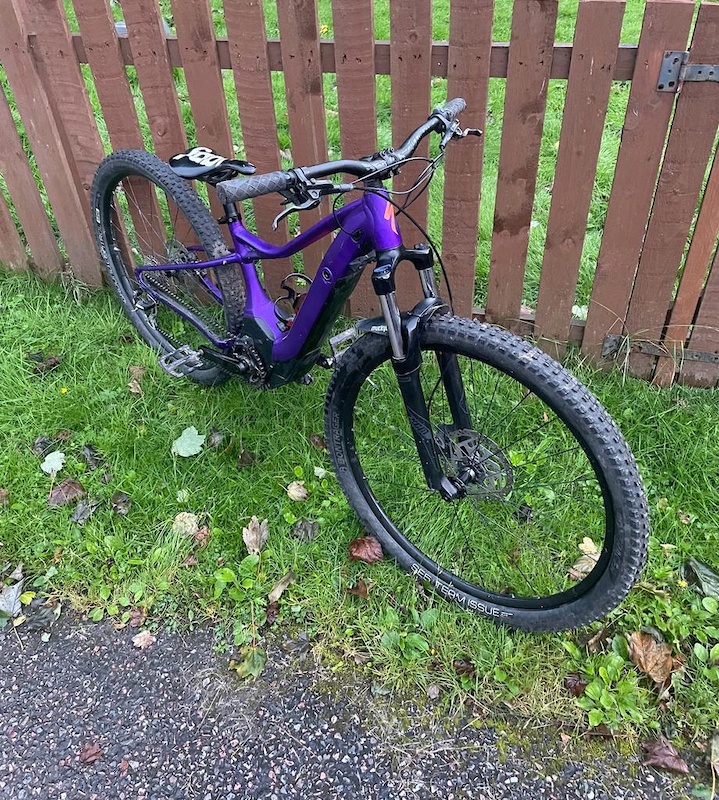 levo hardtail 2019