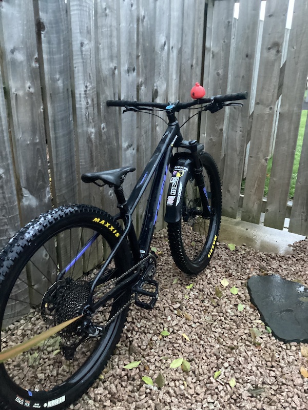 2019 trek roscoe 8 for sale