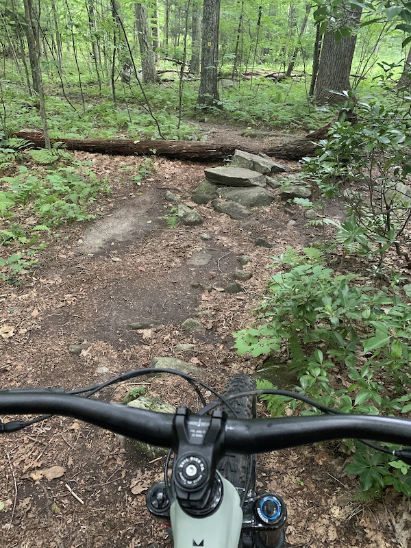 Huckleberry Hill Recreation Area (Avon Town Forest) Mountain Biking Trails Trailforks